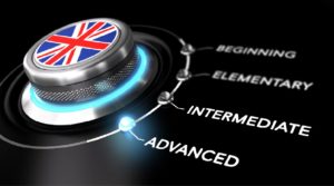 Anglais Niveaux Professionnel