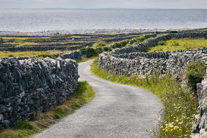 L’été en Irlande : balades, festivals et convivialité